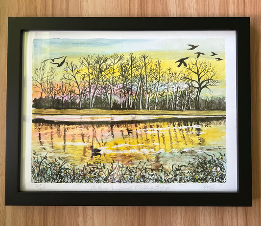 Ankeny National Wildlife Refuge Fine Art Print