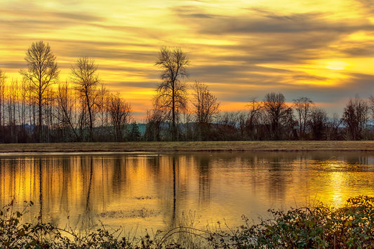 Ankeny National Wildlife Refuge Fine Art Print