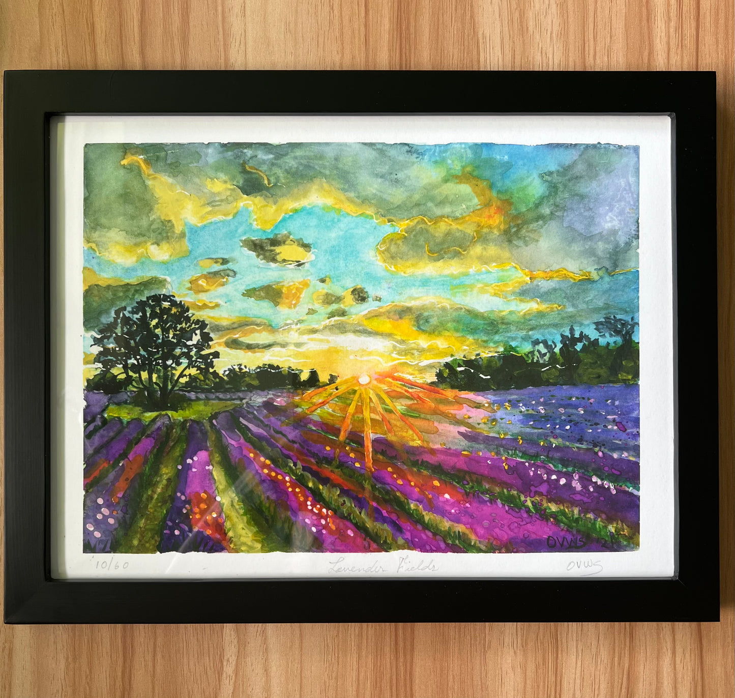 Lavender Fields Fine Art Print